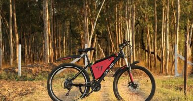 E-Bike vor einem Wald