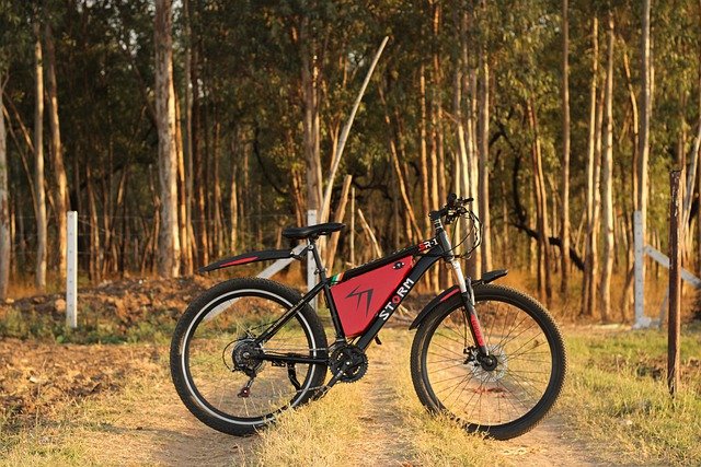E-Bike vor einem Wald