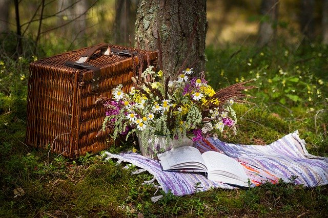 picknick